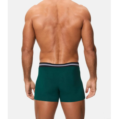 Boxer abanderado