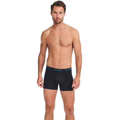 Boxer caballero