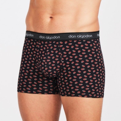 Boxer caballero