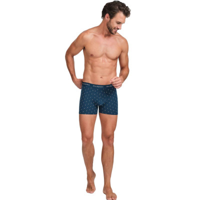 Boxer caballero