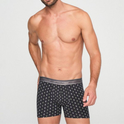 Boxer caballero