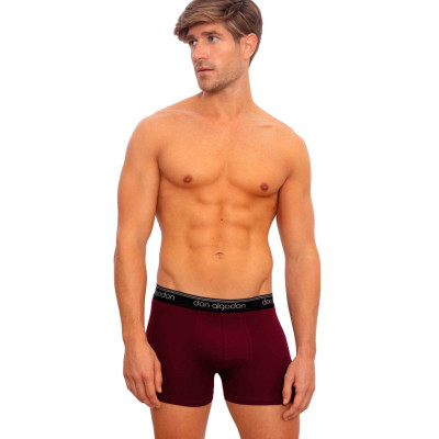 Boxer caballero