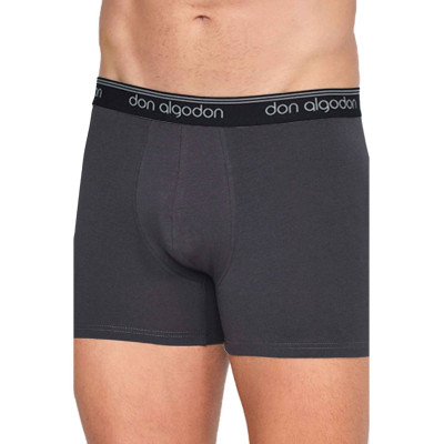 Boxer caballero