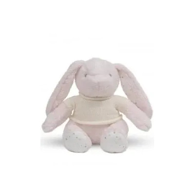 Peluche bordar conejito