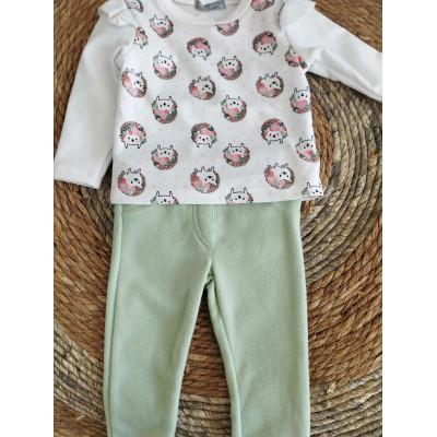 Conjunto alma erizos