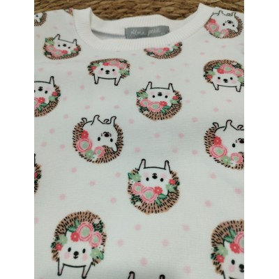 Conjunto alma erizos