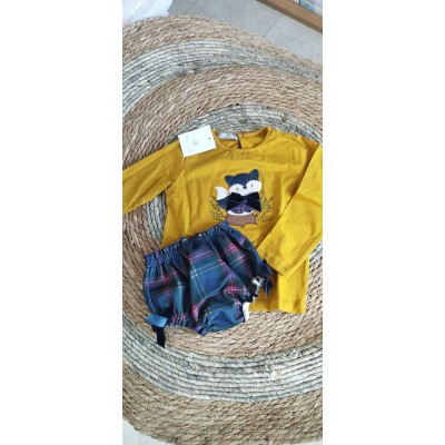 Conjunto alma ardilla