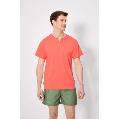 Camiseta manga corta básica cuello panadero