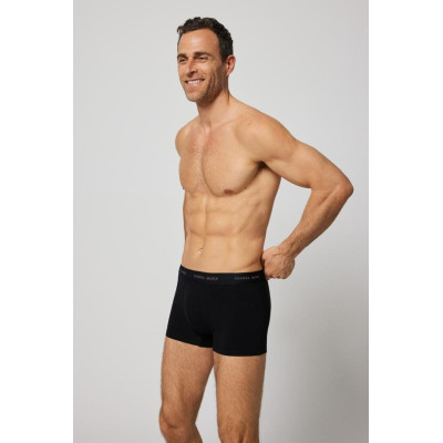 Boxer caballero