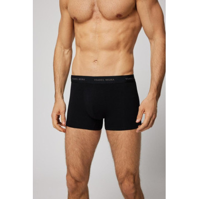 Boxer caballero