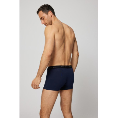 Boxer caballero
