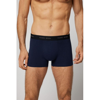 Boxer caballero
