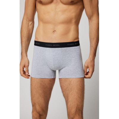 Boxer caballero