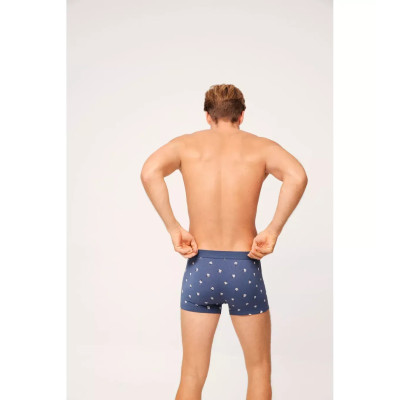Boxer caballero