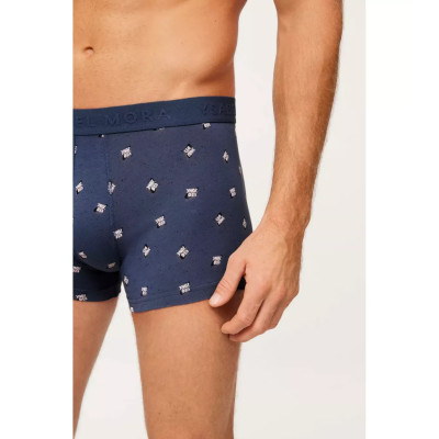 Boxer caballero