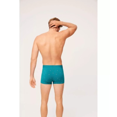 Boxer caballero