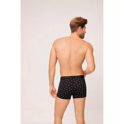 Boxer caballero