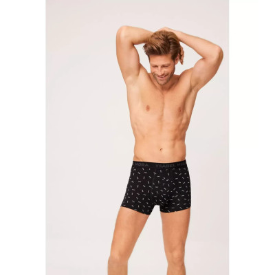 Boxer caballero
