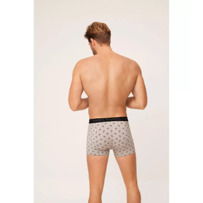 Boxer caballero