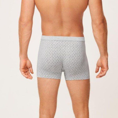 Boxer caballero