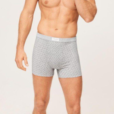 Boxer caballero