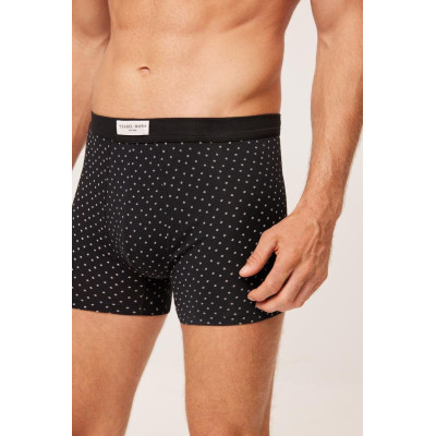 Boxer caballero