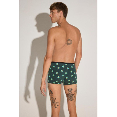 Boxer caballero