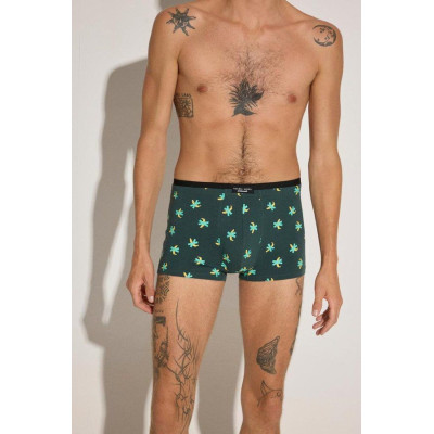 Boxer caballero