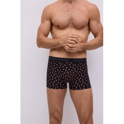 Boxer caballero
