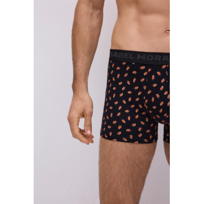 Boxer caballero