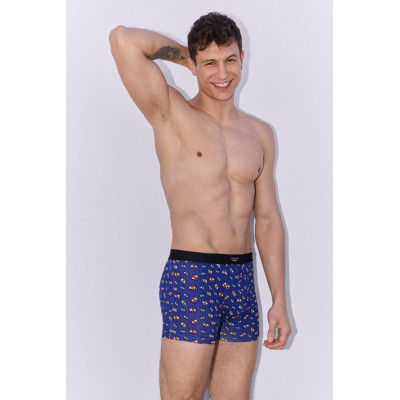 Boxer caballero