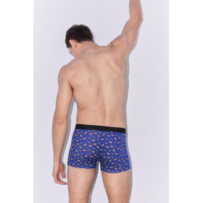 Boxer caballero