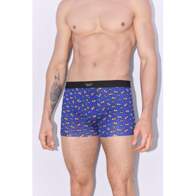Boxer caballero