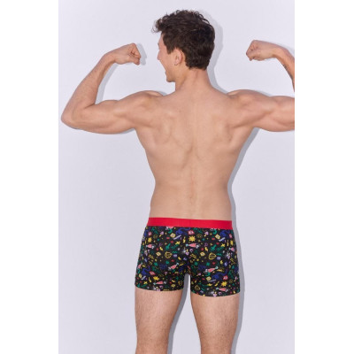 Boxer caballero